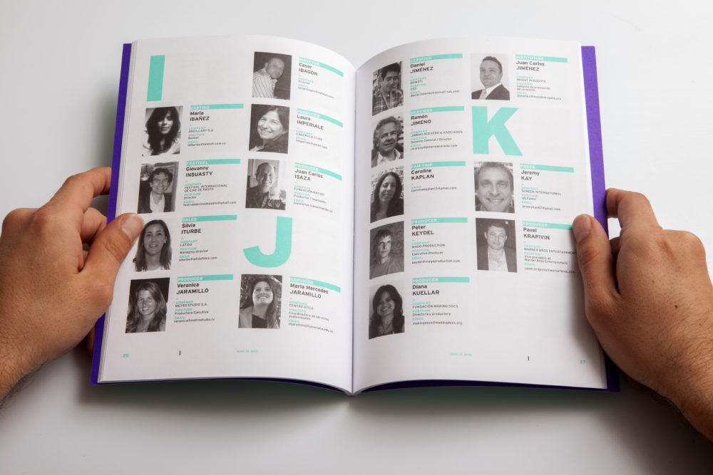 LIP | Proyecto BAM - Imagen 2013