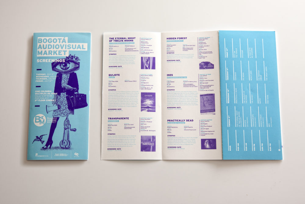 LIP | Proyecto BAM - Imagen 2013