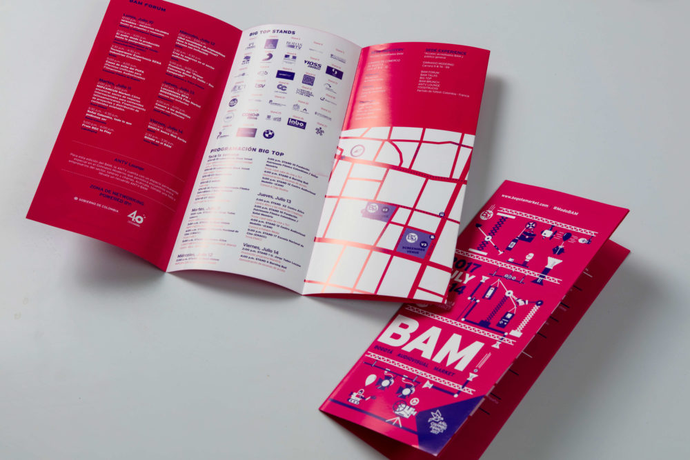 LIP | Proyecto BAM - Imagen 2017