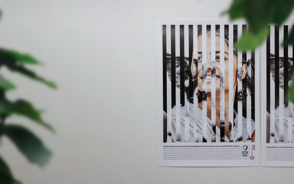 LIP | Proyecto Fundación Acción Interna - Afiche Canino Interno