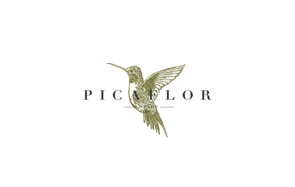 LIP | Proyecto Picaflor - Marca