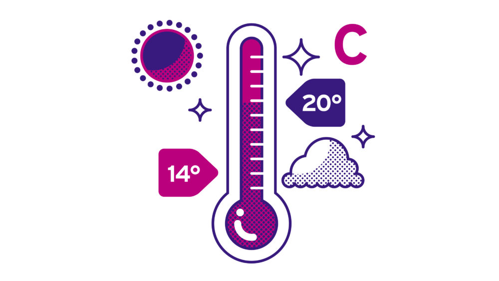 LIP | Proyecto BAM - Imagen 2016