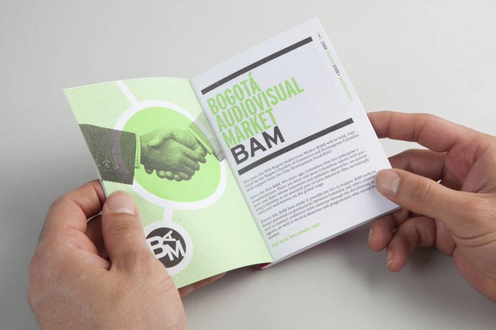 LIP | Proyecto BAM - Imagen 2014