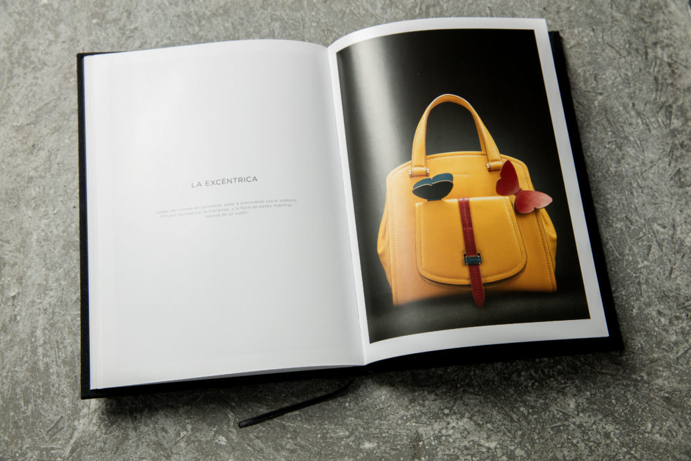 LIP | Proyecto Mario Hernández - Libro Missache