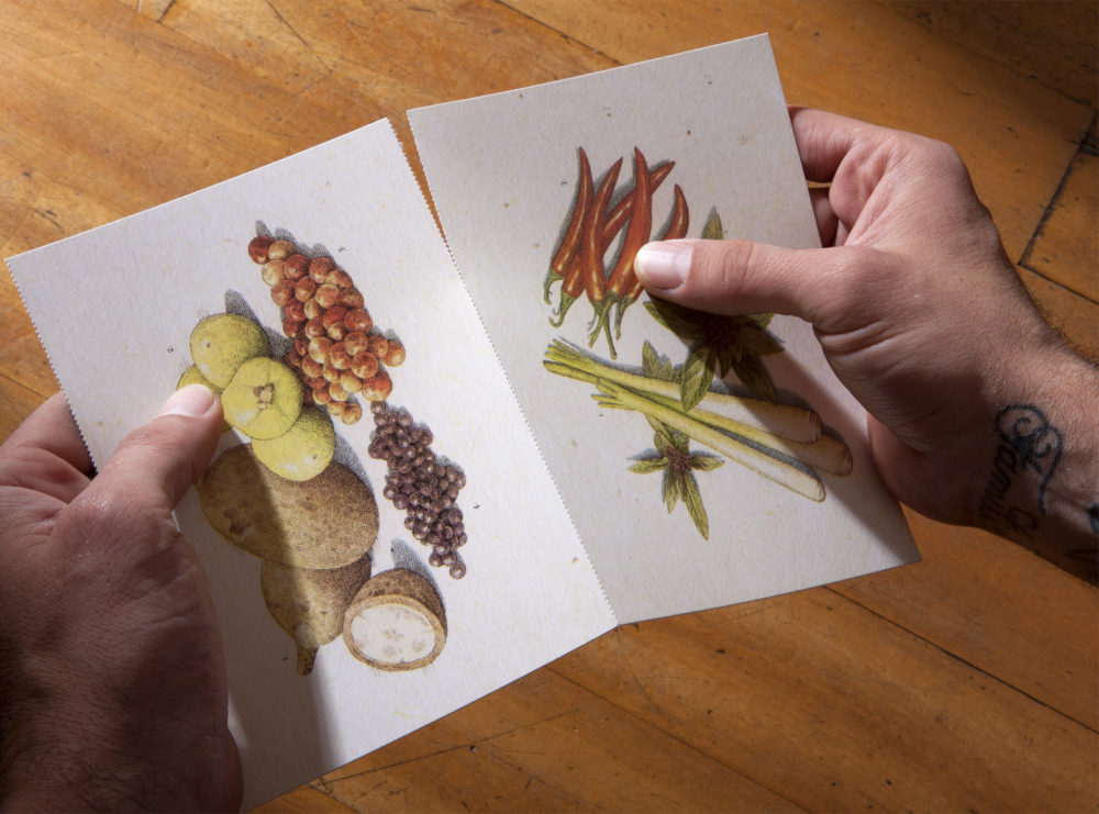 LIP | Proyecto Wok - Postales ingredientes