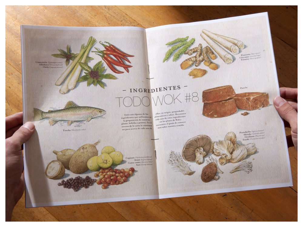 LIP | Proyecto Wok - Todo Wok