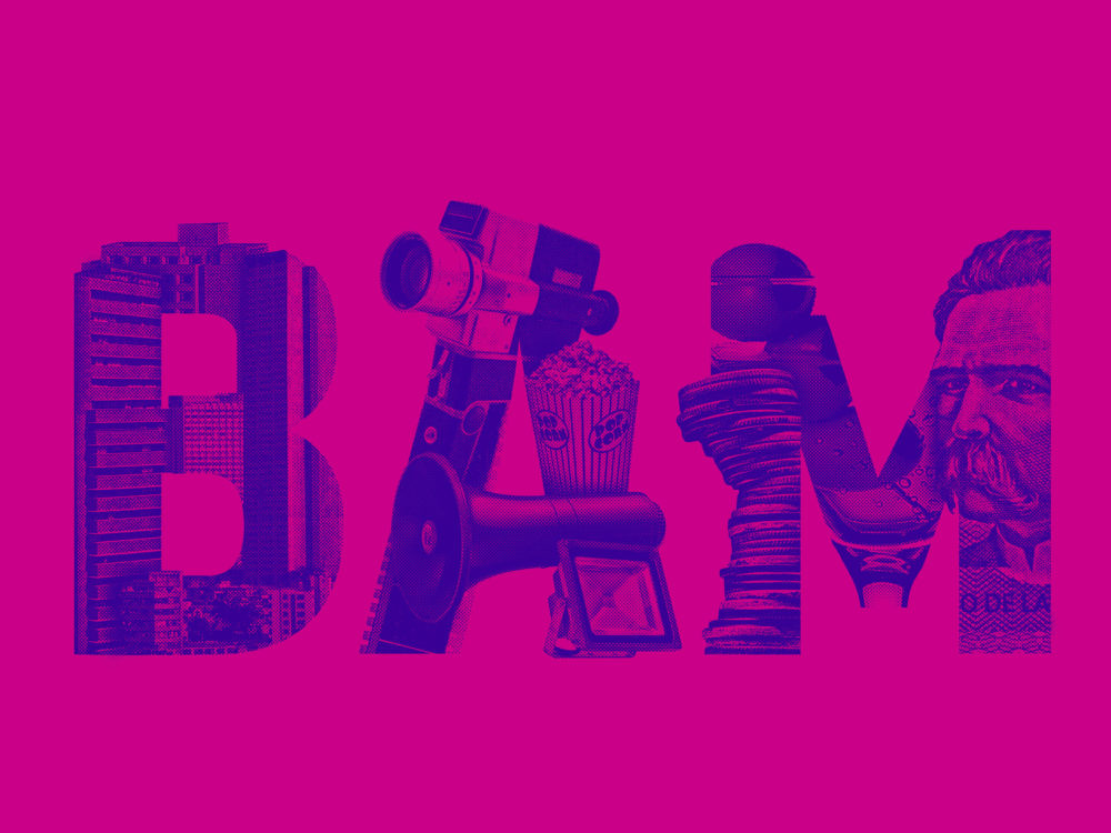 LIP | Proyecto BAM - Imagen 2015