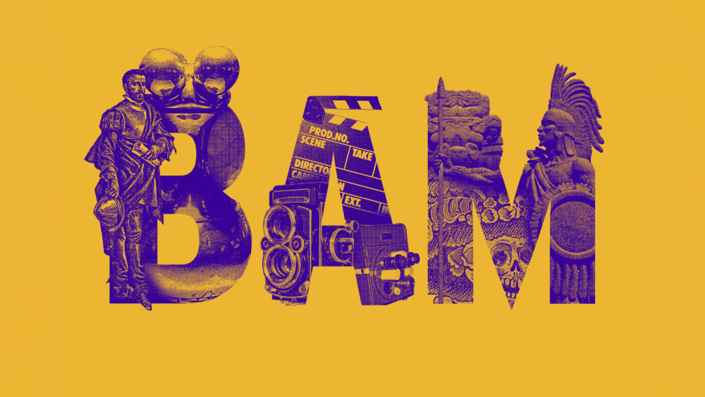 LIP | Proyecto BAM - Imagen 2015