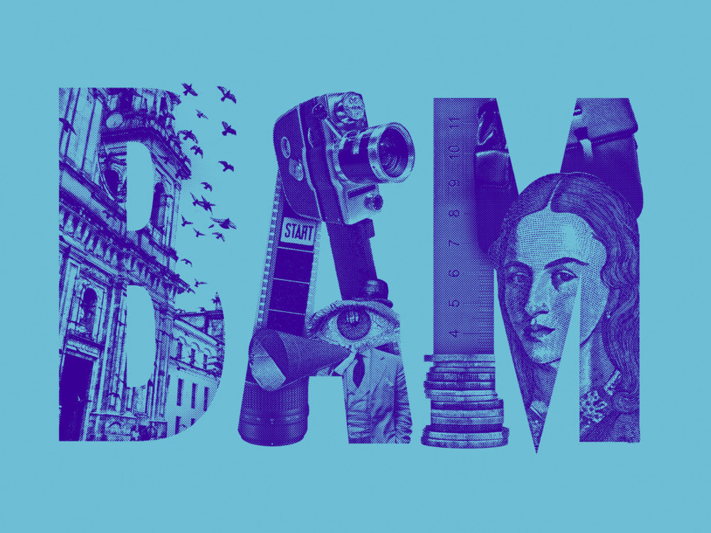 LIP | Proyecto BAM - Imagen 2015