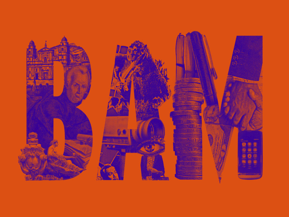 LIP | Proyecto BAM - Imagen 2015