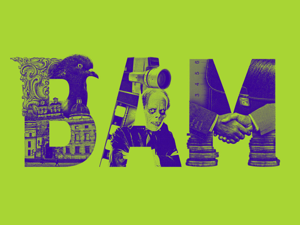 LIP | Proyecto BAM - Imagen 2015