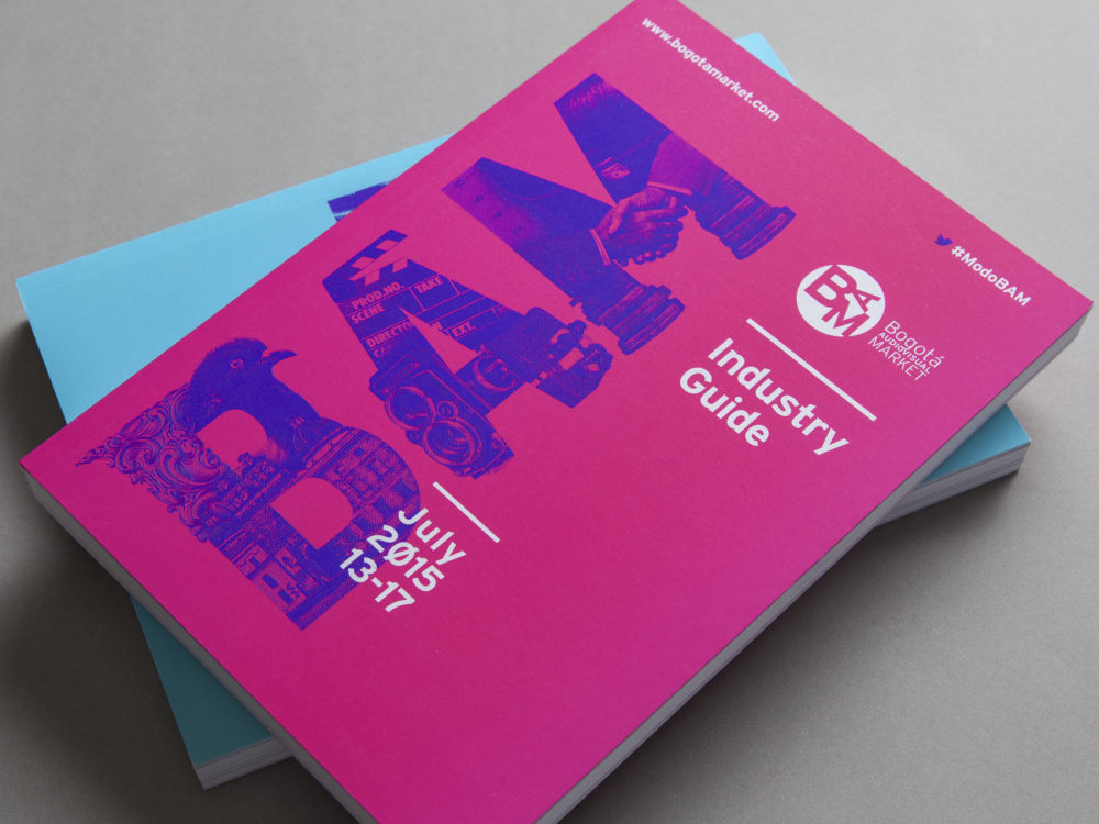 LIP | Proyecto BAM - Imagen 2015