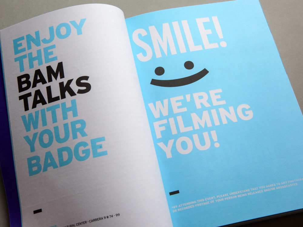 LIP | Proyecto BAM - Imagen 2015