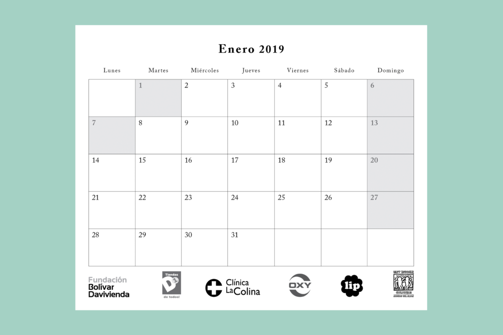 LIP | Proyecto Best Buddies - Calendario 2019 - 15 años