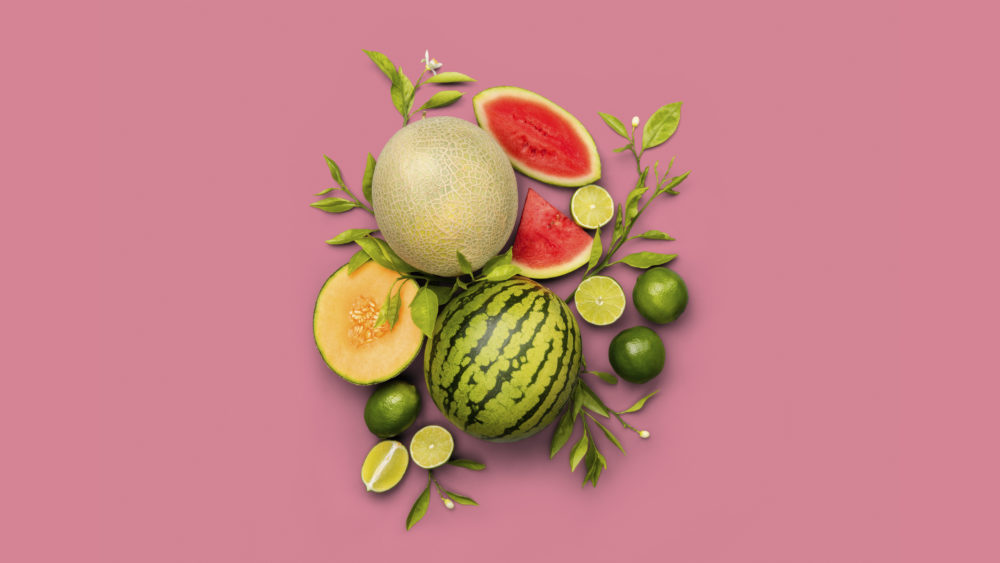 LIP | Proyecto Holi	Marca - empaques