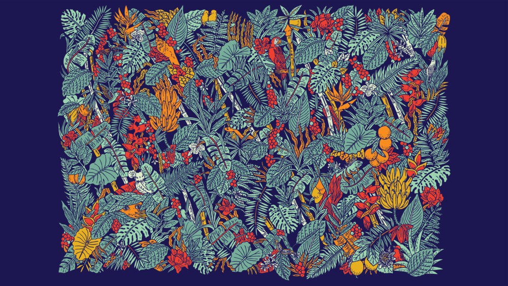 LIP | Proyecto Colo - Marca, empaques, locales, mechardising