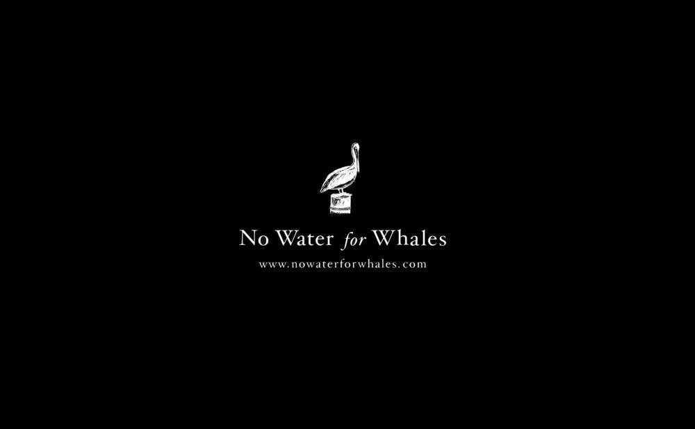 LIP | Proyecto No Water for Whales - Logotipo