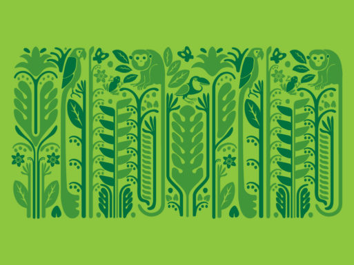 LIP | Proyecto Florencianas - Marca y empaques