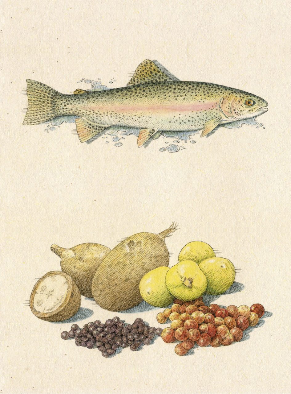 LIP | Proyecto Wok - Postales ingredientes