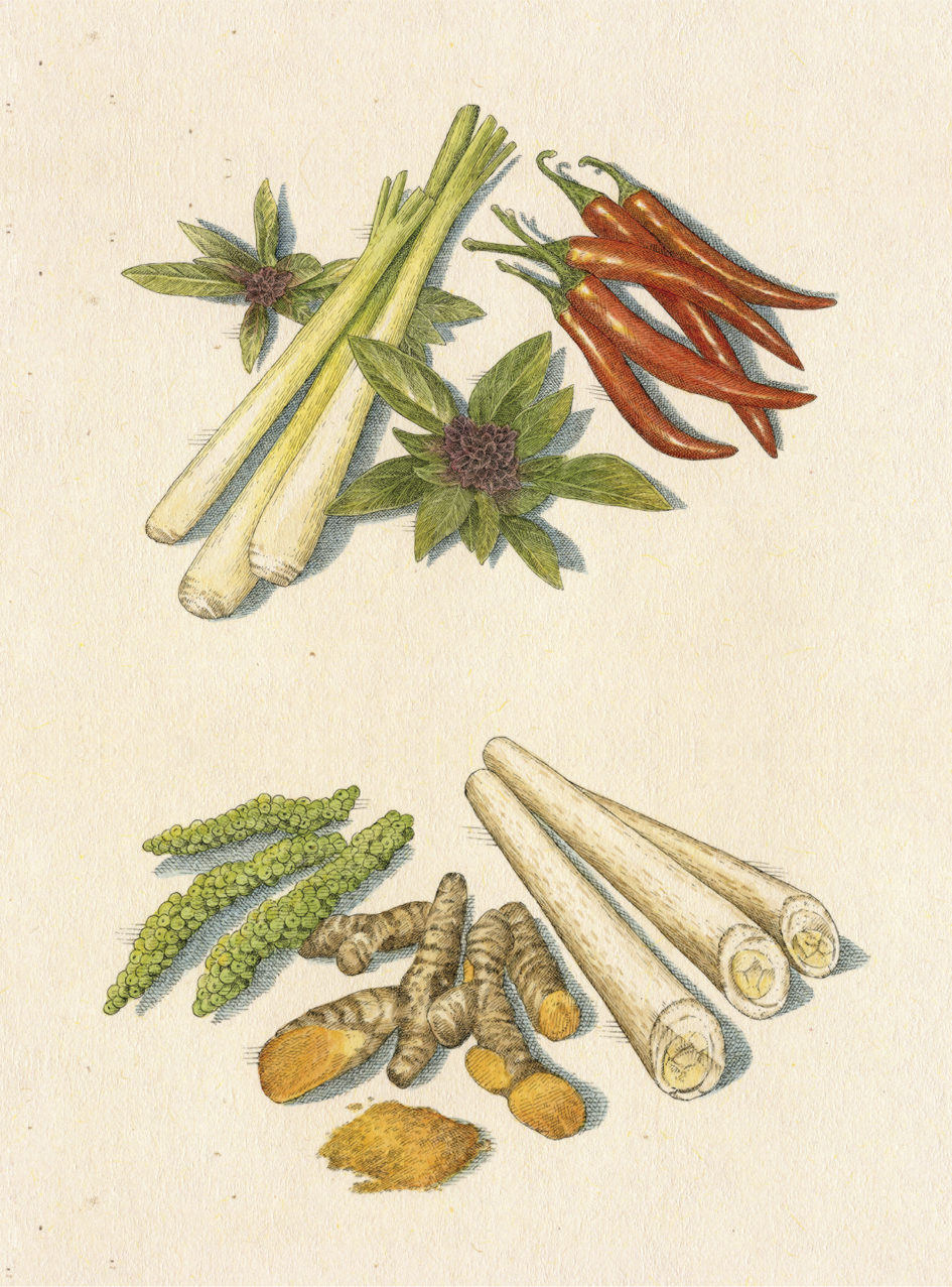 LIP | Proyecto Wok - Postales ingredientes